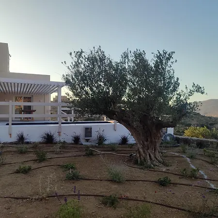 Bonsai Luxury Naxos 펜션 *