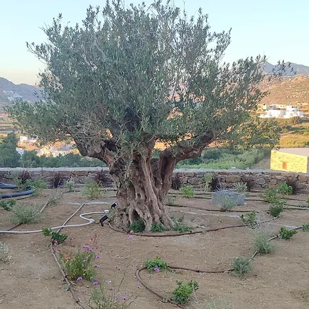 Bonsai Luxury Naxos 펜션 *